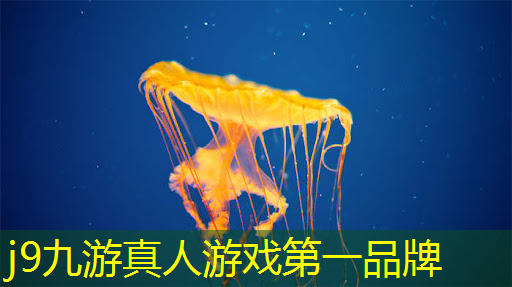 j9九游真人游戏第一平台：3d漫画地球ol游戏系统