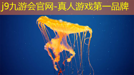 j9九游会真人第一品牌：最爽3d打斗游戏