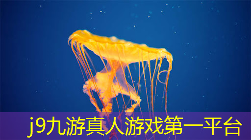 游戏城市小程序怎么玩不了