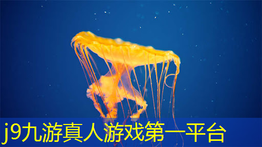 j9九游真人游戏第一平台：城市英雄3d飞机游戏
