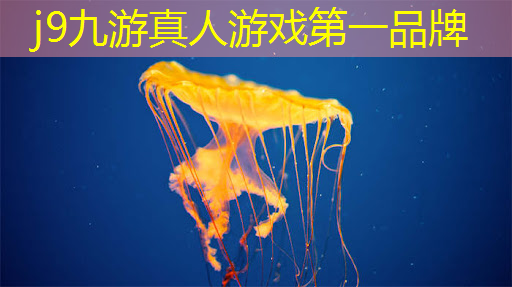 最便宜的游戏小程序推荐
