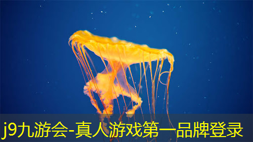 最爽3d打斗游戏