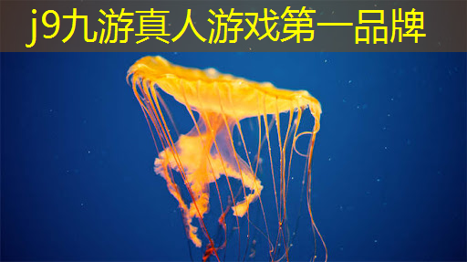 城市英雄3d飞机游戏